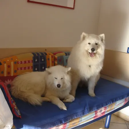 Πάρκο διακοπών Michelangelo & Family Lido di Spina