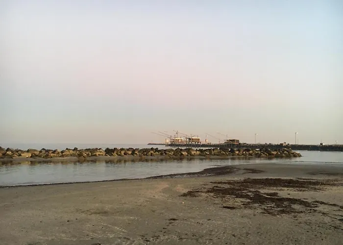 База отдыха Michelangelo & Family 3*