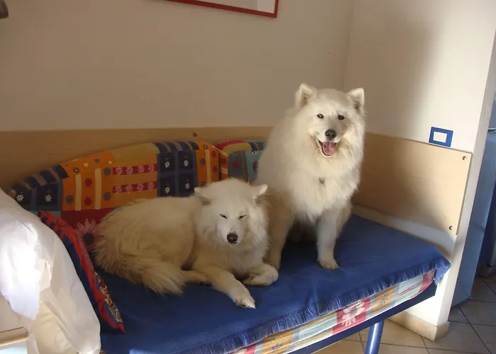 منتزه العطل Michelangelo & Family ليدو دي سبينا